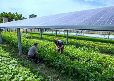 Paneles solares para la agricultura y demás sectores productivos